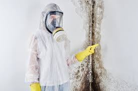 Why You Should Choose Our Mold Remediation Services in Placeholder9